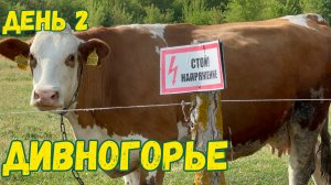 Дивногорье - музей заповедник под открытым небом | День 2-й