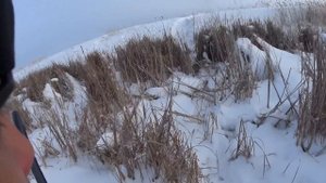 Охота на косулю и зайца - Резкий поворот