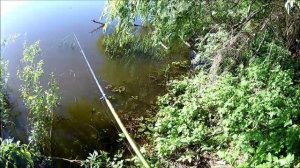 отчёт о рыбалке Дон, Воронеж, Шилово 18 мая 2019 года.mp4