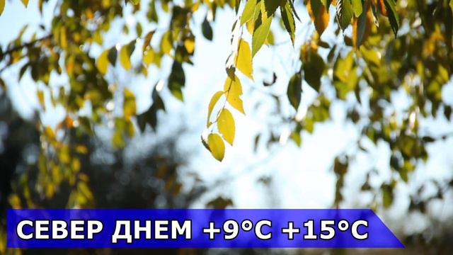 ПОГОДА НА 2 ОКТЯБРЯ : ПОГОДА НА СЕГОДНЯ