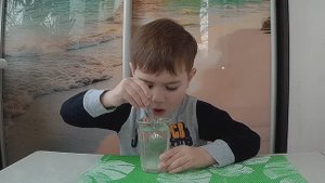 Домашняя содовая шипучка