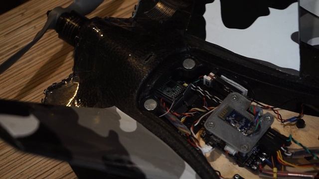 Atomrc Dolphin. Моя сборка. Что нового?