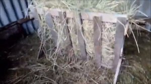 Новая кормушка для овец и сена