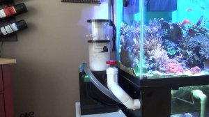Aqua c EV240 Skimmer Review