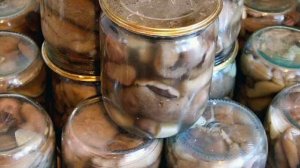 КАК СОЛИТЬ МАСЛЯТА РЕЦЕПТ ПРИГОТУВАННЯ В ОПИСАХ