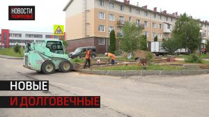 В Истре в микрорайон «Восточный» отремонтируют тротуары