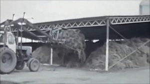 ЮМЗ-6 трактор. На сене. СНУ-0,5. ГВК–6М (1988).
