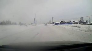 Сбил собак и уехал!