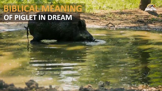 Biblical Meaning of Piglets in Dreams - Symbolism and Interpretation смотреть онлайн