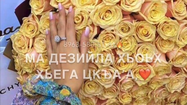 Нена йиша декъал йойла. Йишина йиша ю картинки.