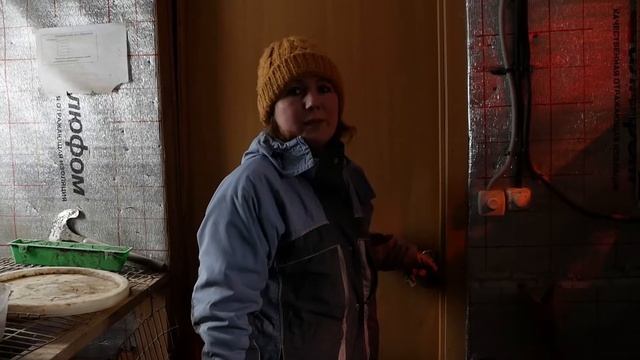 Знакомство с базой ООО "Люцилия Тигрова" смотреть онлайн