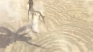 Never give up! (Animation)