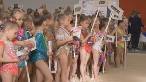 Открытый чемпионат по художественной гимнастике, памяти выдающегося тренера Людмилы Дулькиной