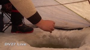 Ловим сига зимой// Взяли с собой палатку с печкой// Рыбалка на Амуре.