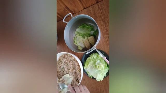 14. ГОЛУБЦІ З ГРЕЧКОЮ ТА РИСОМ. смотреть онлайн