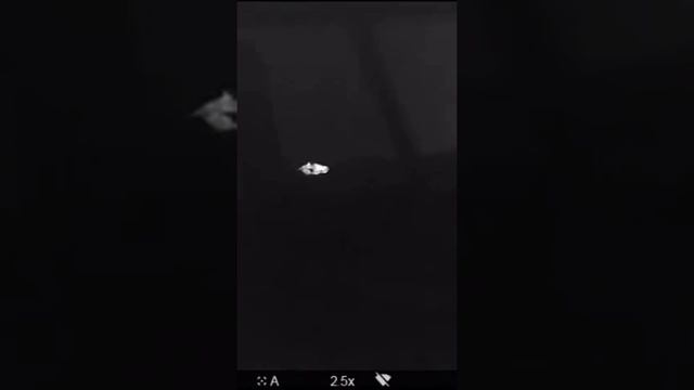 Thermal imager Rat hunt смотреть онлайн