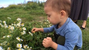 Любит, не любит. Много любит