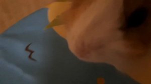 ведь не бывает на свете чтоб были потеряны дети