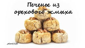 ПЕЧЕНЬЕ ИЗ ОРЕХОВОГО ЖМЫХА | список ингредиентов под видео ?