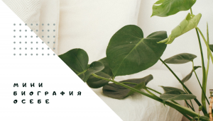 «Мини биография о себе»