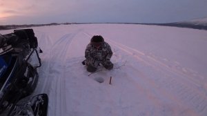 Рыбалка на крайнем севере/щука/налим. Добирались на снегоходах BRP scandic 550, Arctic Cat 570