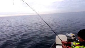 Ловля трески на Балтике