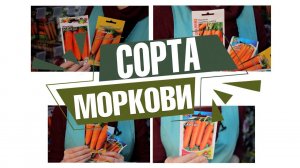 Спросили у продавца , какие семена моркови самые популярные у покупателей ? ✔️