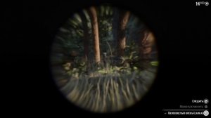 Red Dead Redemption 2 /PS 5/: Испытания - Мастер охотник 3, 4🎮🤠