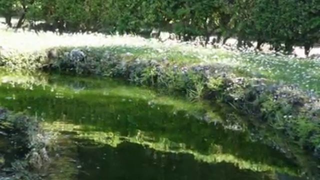 Вилла д ’ Эсте смотреть онлайн