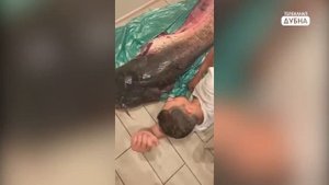 Рыбак из Дубны выловил на Иваньковском водохранилище двухметрового сома