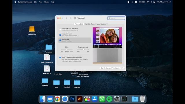 18 Configure Tracking speed for Trackpad Mouspad on a Macbook
