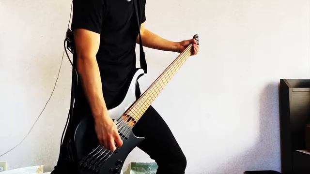 Blink-182 - First Date || Bass Cover смотреть онлайн