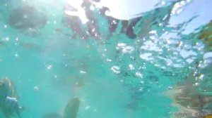 Риф в бухте Наама Бей на пляже отеля Sonesta Beach