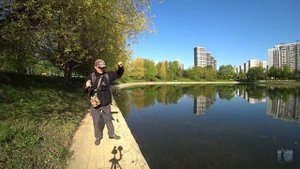 Как ловить карася на мормышинг? Советы начинающим