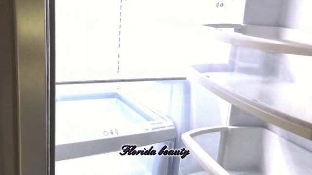 Выбираю новый дом. Дом wood frame- любимая недвижимость термитов во Флориде смотреть онлайн