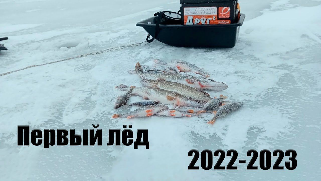 ТАК ЖЕРЛИЦЫ ЕЩЁ НЕ РАБОТАЛИ | ОТЛИЧНО ОТКРЫЛ СЕЗОН 22-23 В ЗАТОПЛЕННОМ ЛЕСУ . смотреть онлайн