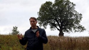 Дом из бруса или Каркасный дом лучше? Сравниваем и Выбираем