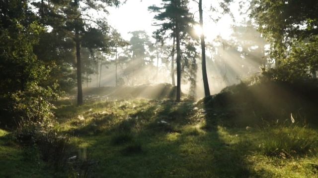 ☝️КАК ПОНЯТЬ? ЧТО ТЫ ВЕДЬМА? смотреть онлайн
