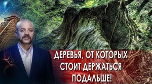 Деревья, от которых стоит держаться подальше! | Загадки человечества с Олегом Шишкиным (25.10.21).