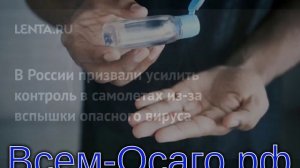 В России призвали усилить контроль в самолетах из-за вспышки опасного вируса