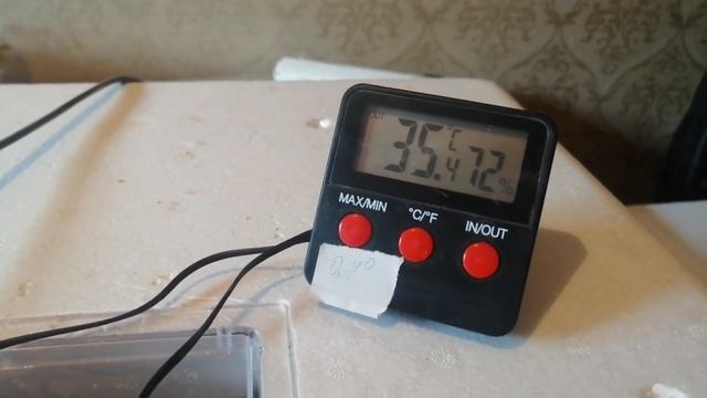 Режим инкубации утят и цыплят//Закладываем новую партию яиц//Секреты инкубации