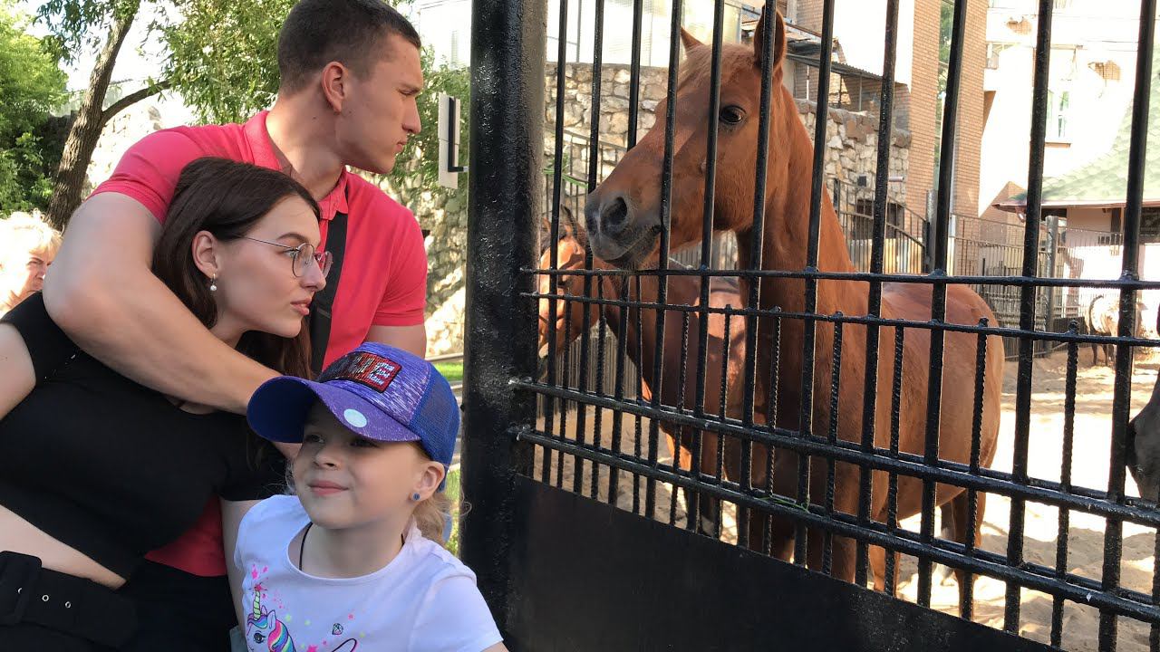 Московский зоопарк. смотреть онлайн