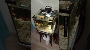 Аквариум 25 л.