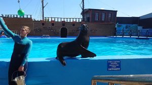 Дельфинарий