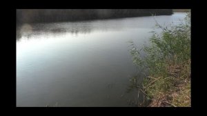 Сентябрьская рыбалка на Нижней Волге