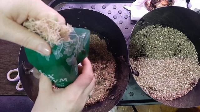 Для зон патио прекрасным украшением станут кашпо с яркими посадками карликовых сортов лилий и канн смотреть онлайн