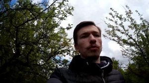 КАК В ОДИНОЧКУ РАЗНЯТЬ ДВУХ ДЕРУЩИХСЯ СОБАК