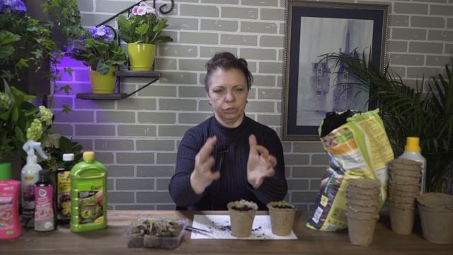 Пикируйте баклажаны только так ? 100% урожай Баклажан смотреть онлайн