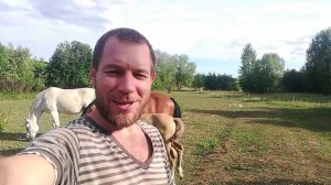 ТАКОГО КОЛИЧЕСТВА НИ КТО НЕ ОЖИДАЛ. НАС ЗАВАЛИЛИ ПОДАРКАМИ. ЖИЗНЬ В ДЕРЕВНЕ