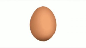 Яйцо